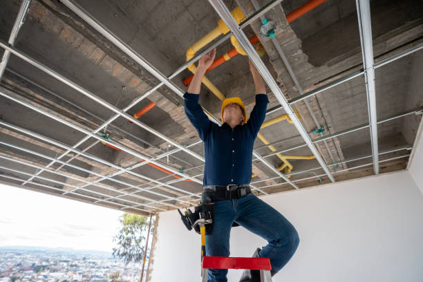 Best Clogged Drain Plumber  in West Bountiful, UT